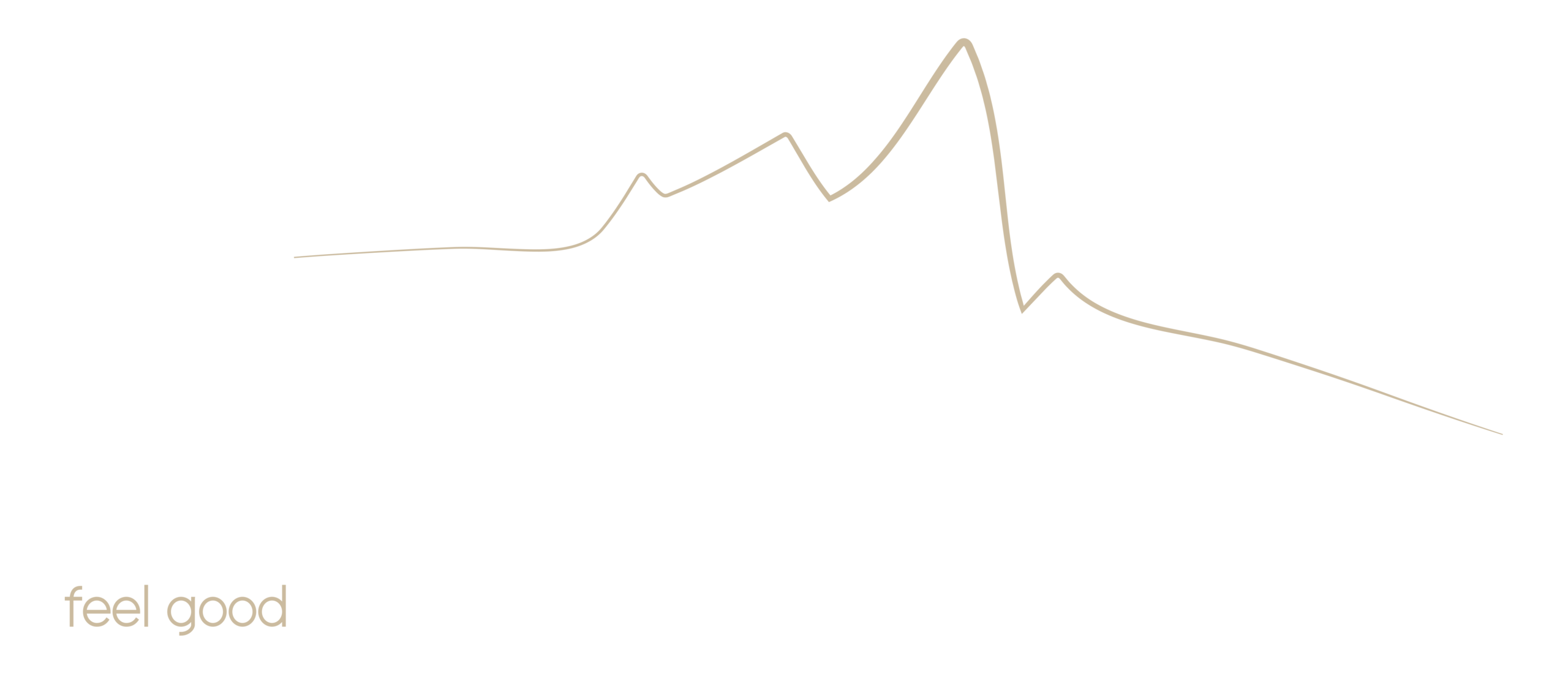 Logo für Shop Silvretta mit dem goldenen Umriss eines Berges über dem Wort „Silvretta“ in großem weißen Text. Darunter steht in kleinerer Schrift „feel good sport- und genuss hotel ischgl tirol“, mit fünf Sternen zwischen dem Berg und dem Text.